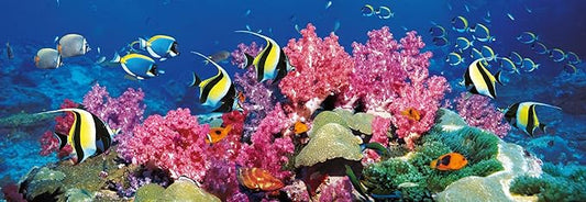 Clementoni Panorama Coral Reef puzzel 1000 stukjes
