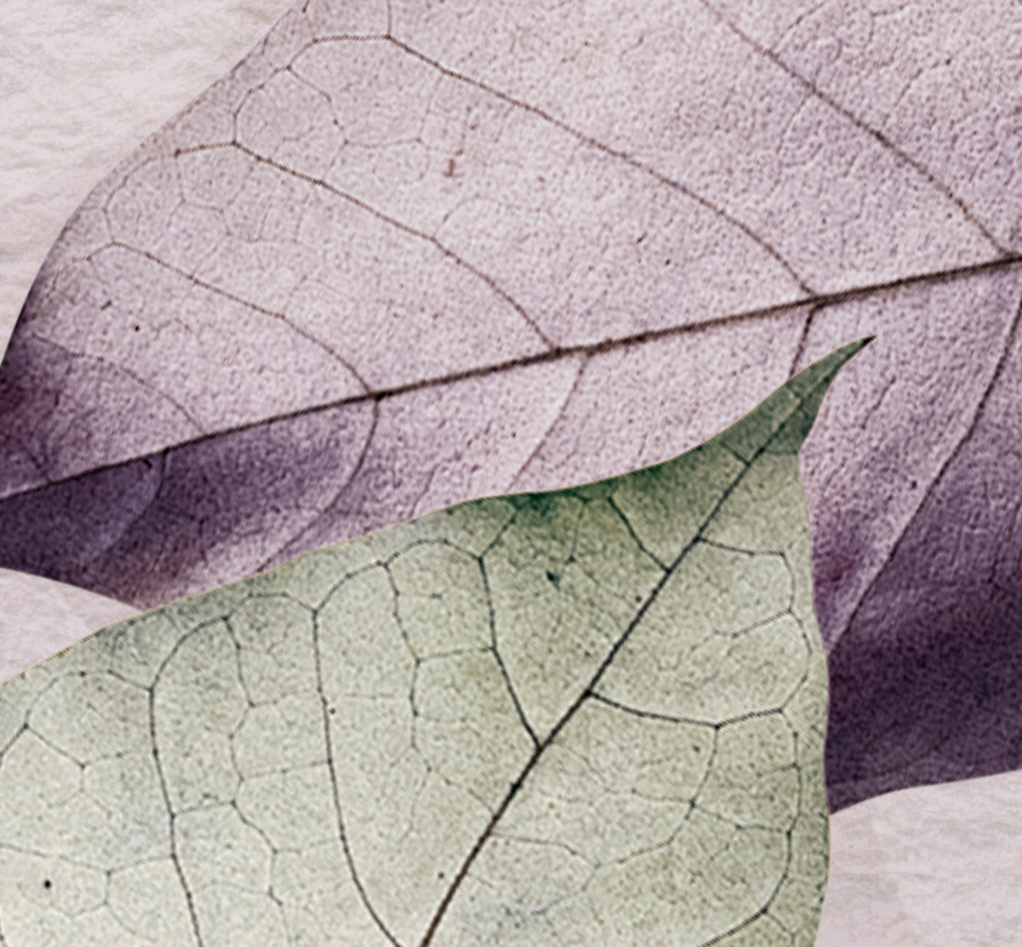 Housse de couette en sergé Heckett Lane Eray feuilles lilas