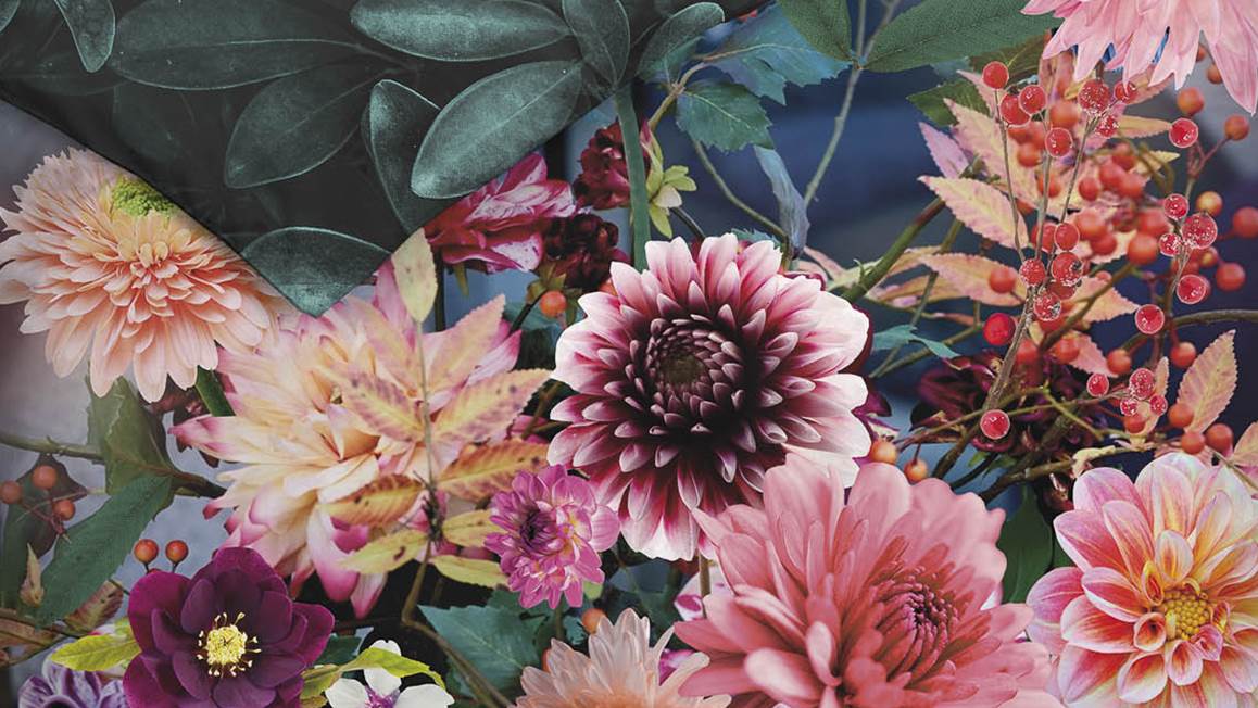 Heckett Lane Novia housse de couette en satin de coton dahlias