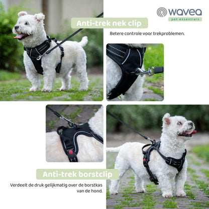 Dog harness Wavea size small black hond