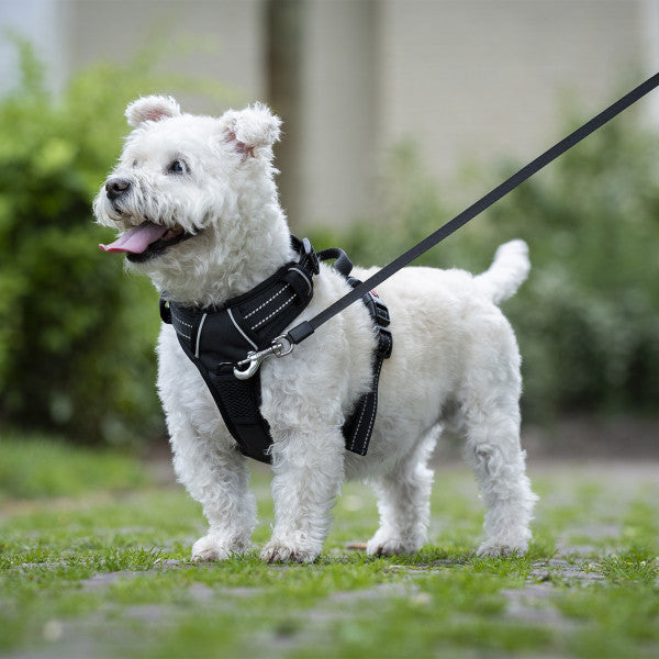 Dog harness Wavea size small black