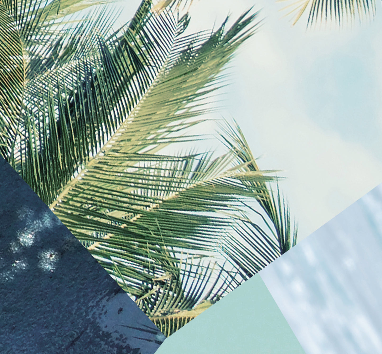 Heckett Lane Jaron dekbedovertrek palmbomen, zee en vakantie gevoel